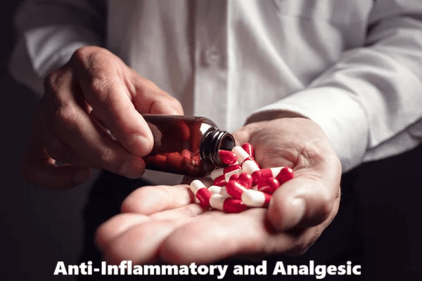 Anti-Inflammatory and Analgesic