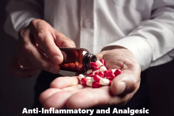 Anti-Inflammatory and Analgesic