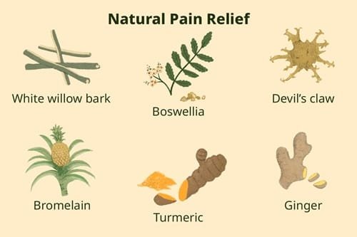 Natural Anti-Inflammatory and Analgesic Remedies