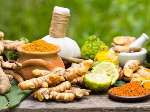 The Role of Herbs in Ayurveda The Role of Herbs in Ayurveda