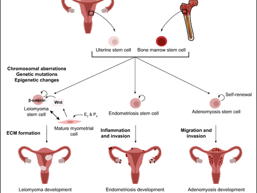 Common Gynecological Conditions Common Gynecological Conditions