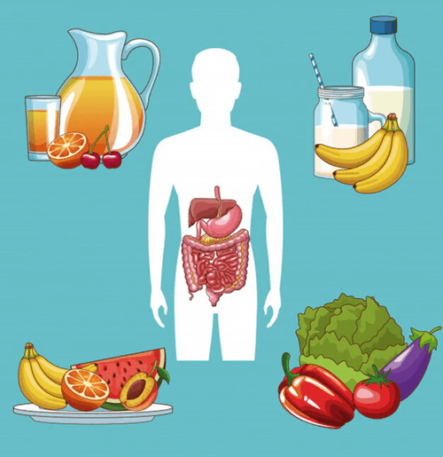 Dietary Choices for a Healthy Gastrointestinal System