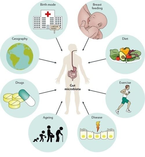 Lifestyle Factors Affecting Gastrointestinal Health