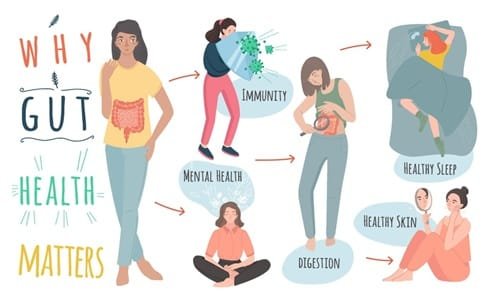 The Role of Gut Health in Overall Wellbeing